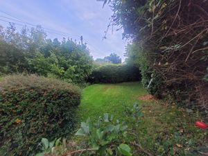 Photo 45- click for photo gallery